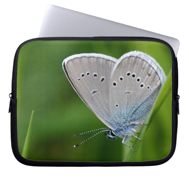 Capa Para Notebook Farfalla Bolsa de laptop (Frente)