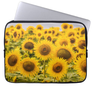Capa Para Notebook Fazendas   Um Campo De Girassol