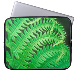 Capa Para Notebook Fechar foto de um frond de samambaia