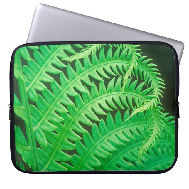 Capa Para Notebook Fechar foto de um frond de samambaia (Frente)