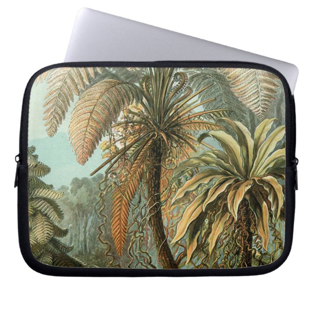 Capa Para Notebook Ferns Palm Tree Arte Botânica Antica (Frente)