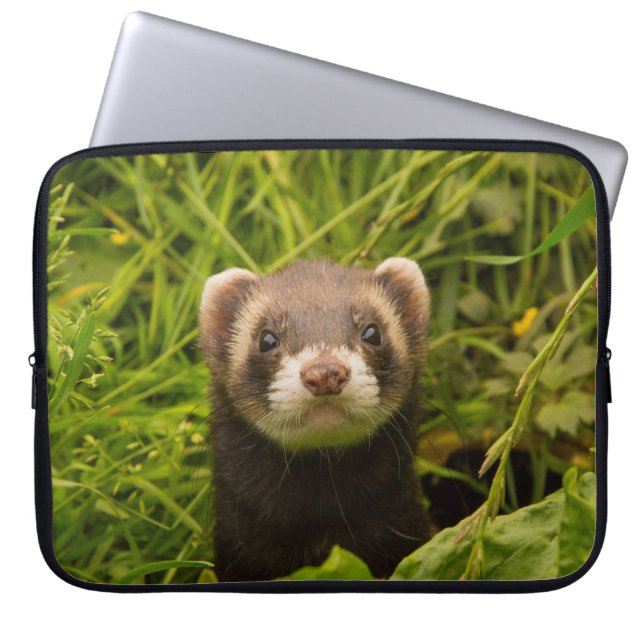 Capa Para Notebook Ferret castanho-bonito na foto de grama (Frente)