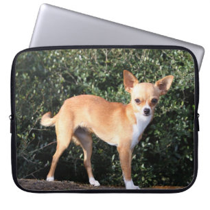 Capa Para Notebook Filhote de cachorro da chihuahua do Teacup