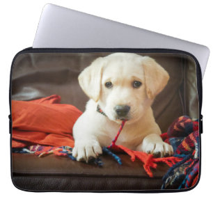 Capa Para Notebook Filhote de cachorro das imagens   de Getty em um