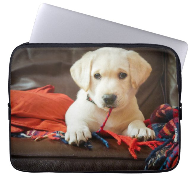 Capa Para Notebook Filhote de cachorro das imagens | de Getty em um (Frente)
