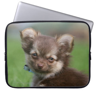 Capa Para Notebook Filhote de cachorro de cabelos compridos da