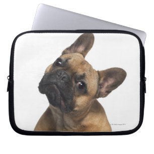 Capa Para Notebook Filhote de cachorro do buldogue francês (7 meses