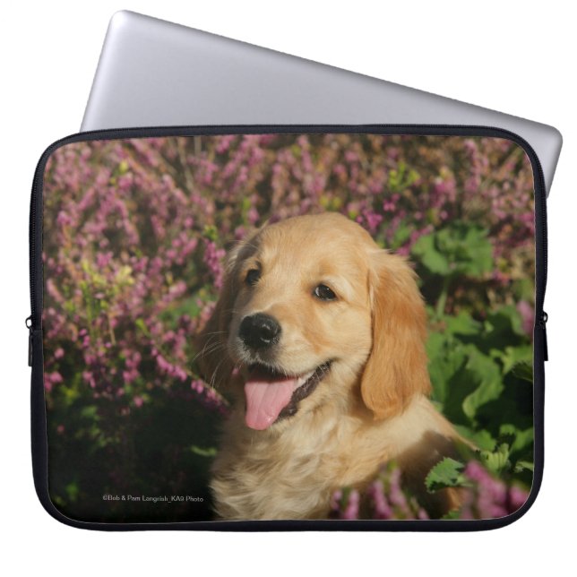 Capa Para Notebook Filhote de cachorro dourado de Retreiver (Frente)