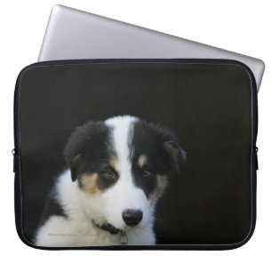 Capa Para Notebook Filhote de cachorro semanas de idade de 12 border