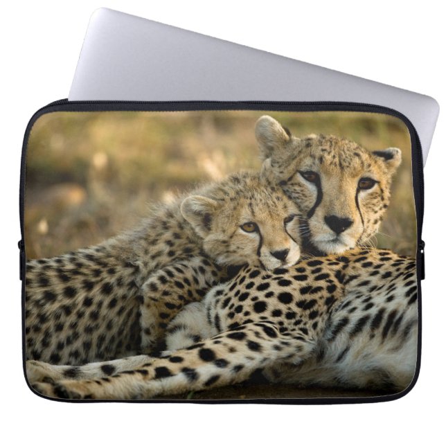 Capa Para Notebook Filhote de Guepardo Abraçando a Mãe (Frente)