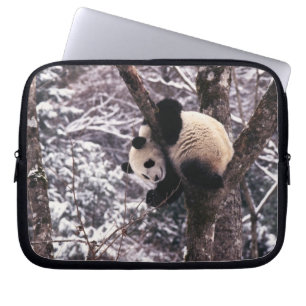 Capa Para Notebook Filhote de panda brincando em árvore coberta de ne