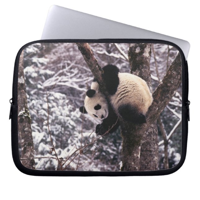 Capa Para Notebook Filhote de panda brincando em árvore coberta de ne (Frente)