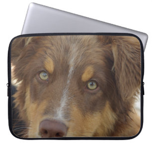 Capa Para Notebook filhote vermelho tri aussie