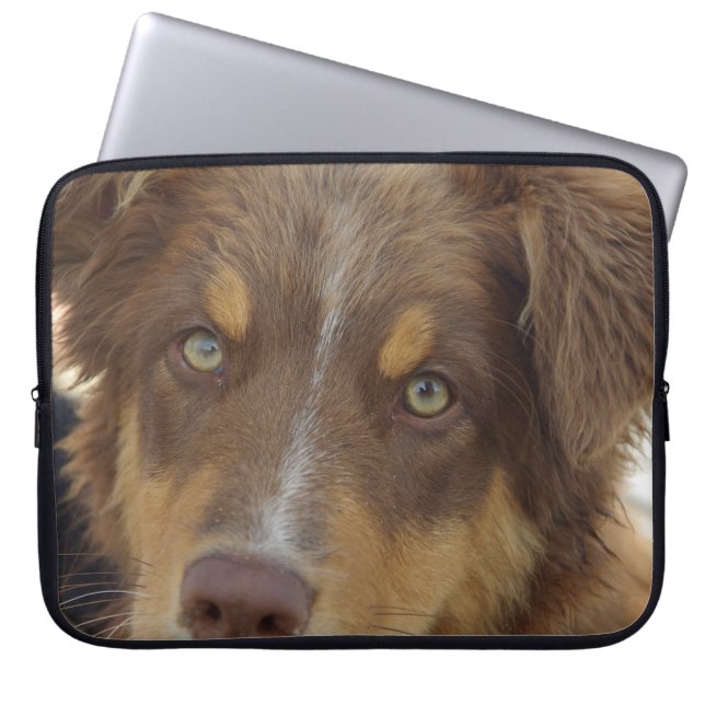 Capa Para Notebook filhote vermelho tri aussie (Frente)