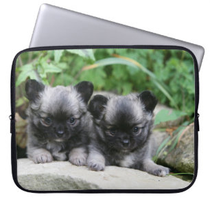 Capa Para Notebook Filhotes de cachorro de cabelos compridos da