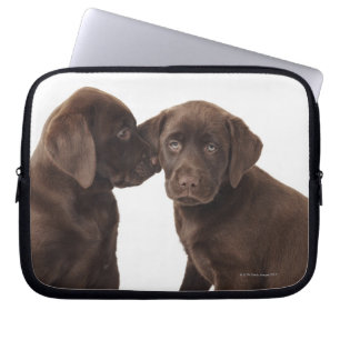 Capa Para Notebook Filhotes de cachorro de labrador retriever do