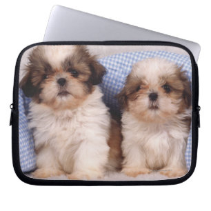 Capa Para Notebook Filhotes de cachorro de Shih Tzu sob uma cobertura
