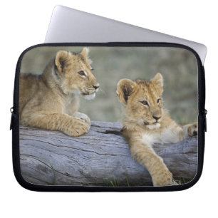 Capa Para Notebook Filhotes de Leão no Tronco