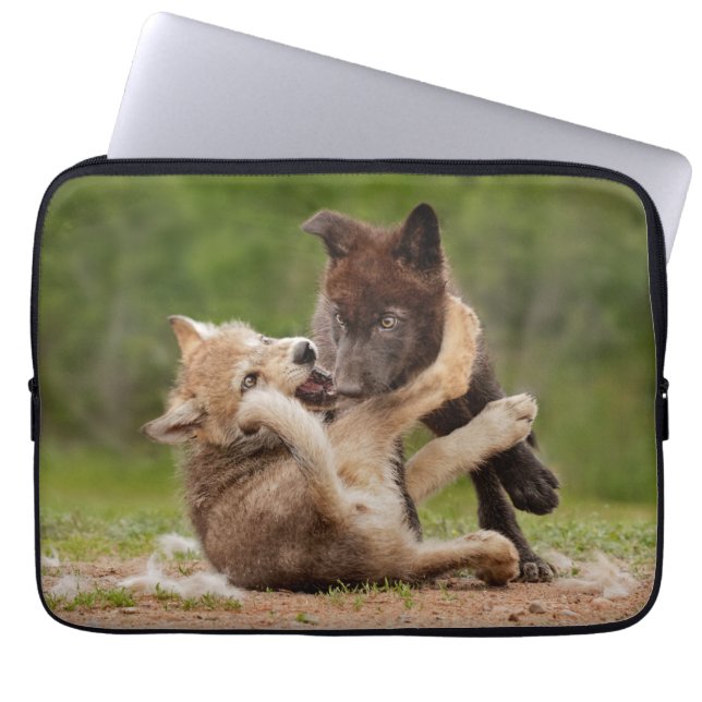 Capa Para Notebook Filhotes de Lobo Cinzento Lutando (Frente)