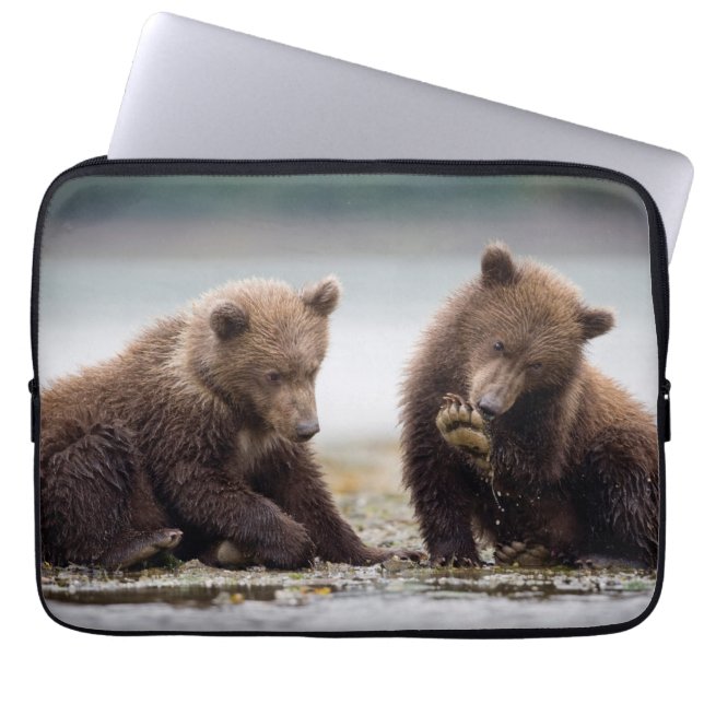 Capa Para Notebook Filhotes de Urso Pardo pelo Córrego (Frente)