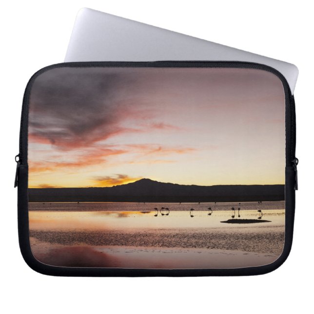 Capa Para Notebook Flamingo Chileno (Frente)