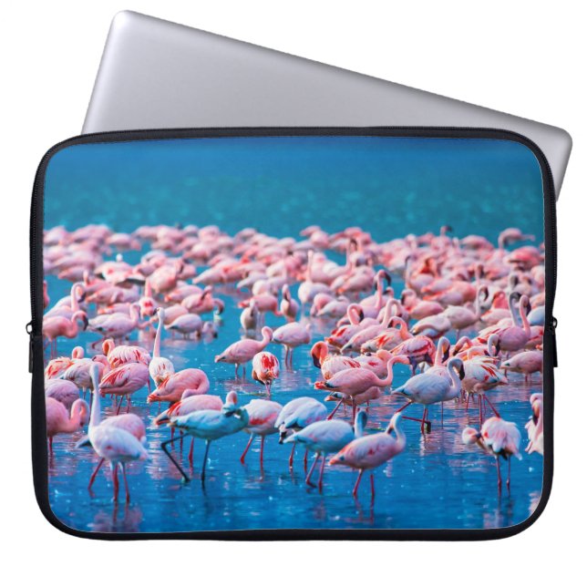 Capa Para Notebook flamingos africanos. Grupo de flamingos (Frente)