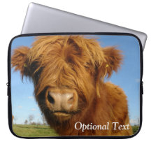Floffy Scottish Highland Cow - Blue Sky