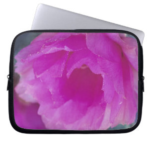 Capa Para Notebook Flor de Cactusouriço Rosa (Echinocereus