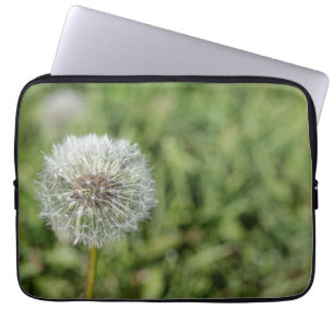 Capa Para Notebook Flor de dandelion branco sobre grama verde