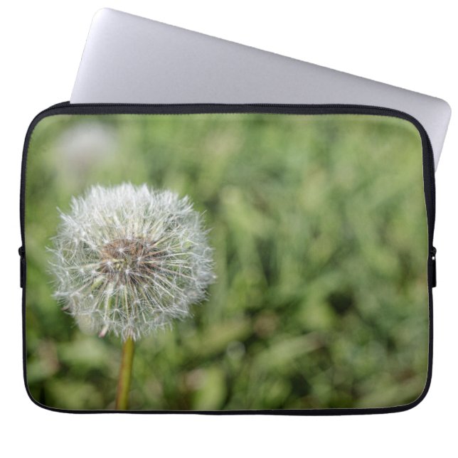 Capa Para Notebook Flor de dandelion branco sobre grama verde (Frente)