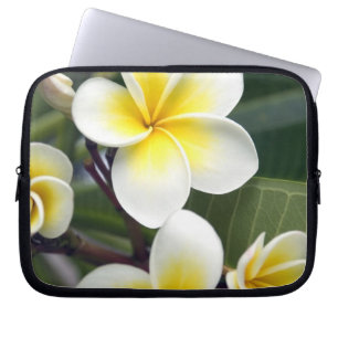 Capa Para Notebook Flor de frangipani Ilhas Cook