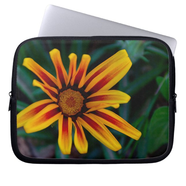 Capa Para Notebook Flor de Gazania (Frente)