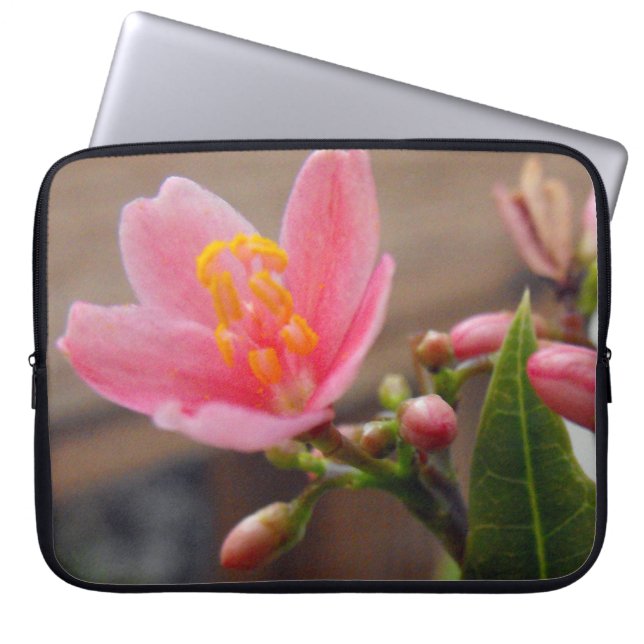 Capa Para Notebook Flor de Jatropha Rosa Suave (Frente)