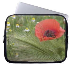 Capa Para Notebook Flor de papoula vermelha, Toscana, Itália