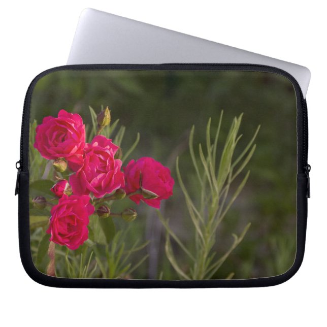Capa Para Notebook Flor rosa (Frente)