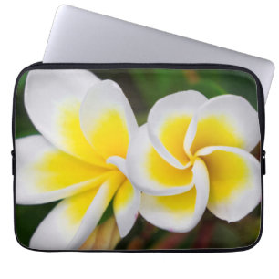 Capa Para Notebook Flores de Plumeria close-up, Havaí