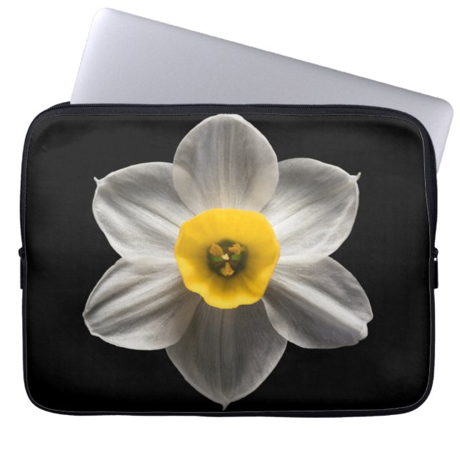 Capa Para Notebook Flores | Flor Branca De Daffodilo (Frente)