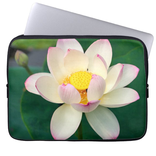Capa Para Notebook Flores | Flor de Água Lotus (Frente)