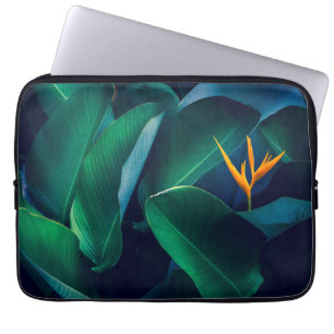 Capa Para Notebook Flores Pássaro do Paraíso
