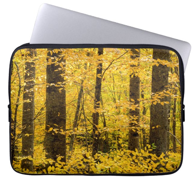Capa Para Notebook Floresta Nacional de Fall Pisgah (Frente)