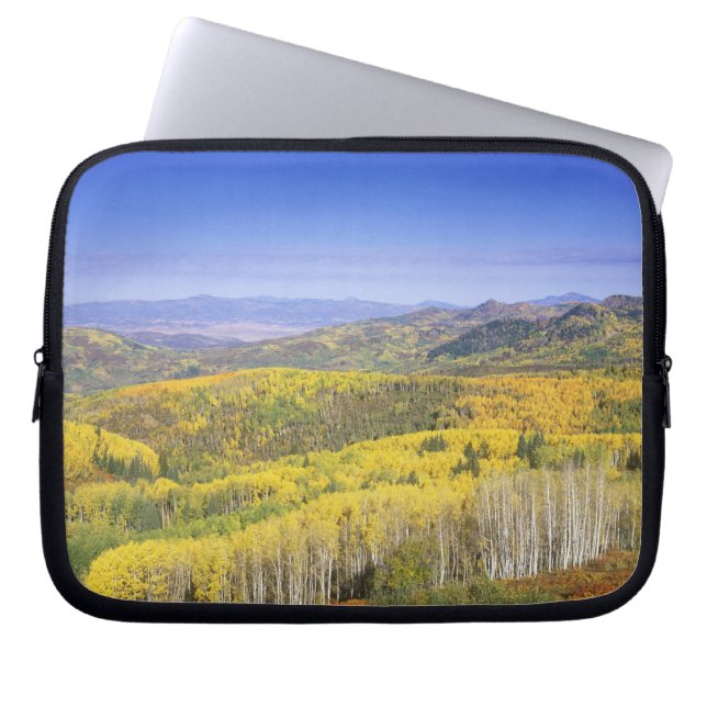 Capa Para Notebook Floresta Nacional Routt no outono, perto (Frente)