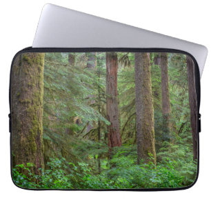 Capa Para Notebook Floresta Nacional Willamette Oregon