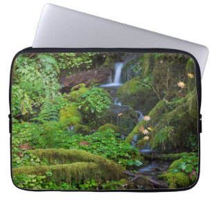 Capa Para Notebook Floresta tropical de outono Parque Nacional Olym