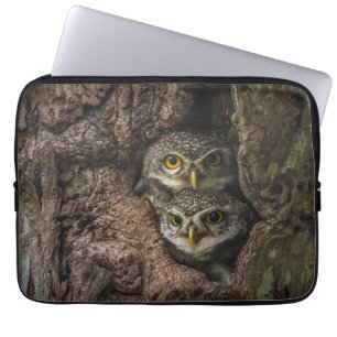 Capa Para Notebook Florestas   Duas Corujas