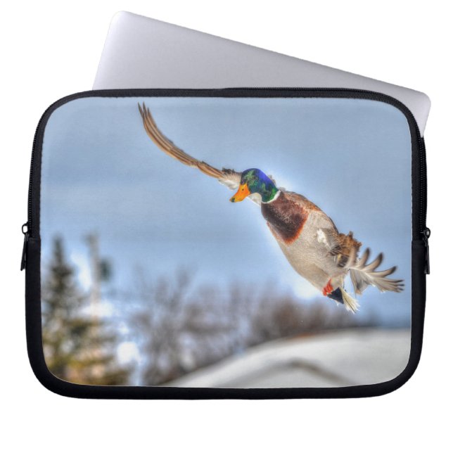 Capa Para Notebook Flying Mallard Duck Drake 2 Wildlife Foto (Frente)