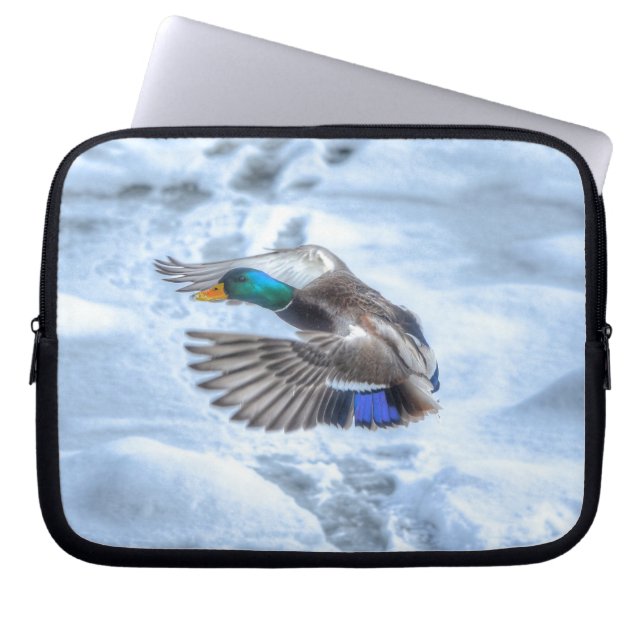 Capa Para Notebook Flying Mallard Duck Drake 3 Wildlife Foto (Frente)