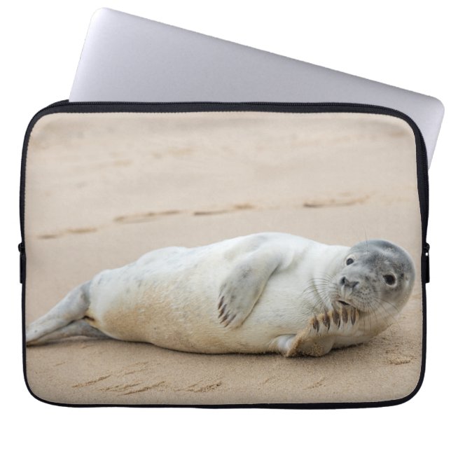 Capa Para Notebook Foca-branca em uma praia (Frente)