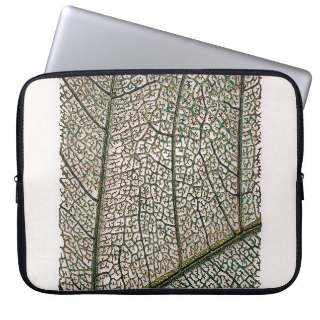 Capa Para Notebook Folha verde (Frente)