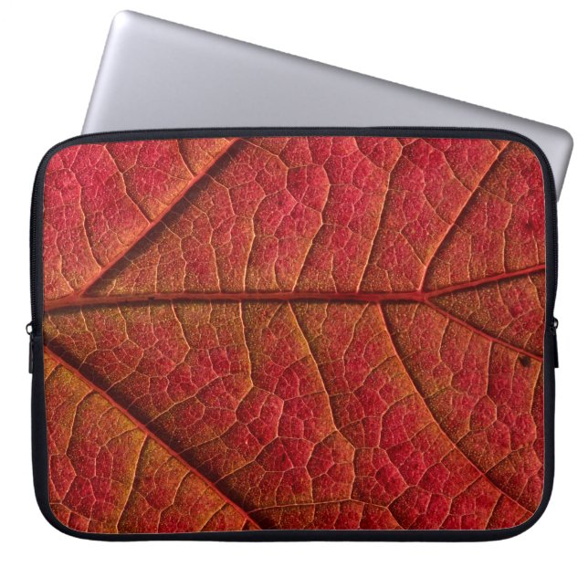 Capa Para Notebook Folha vermelha (Frente)