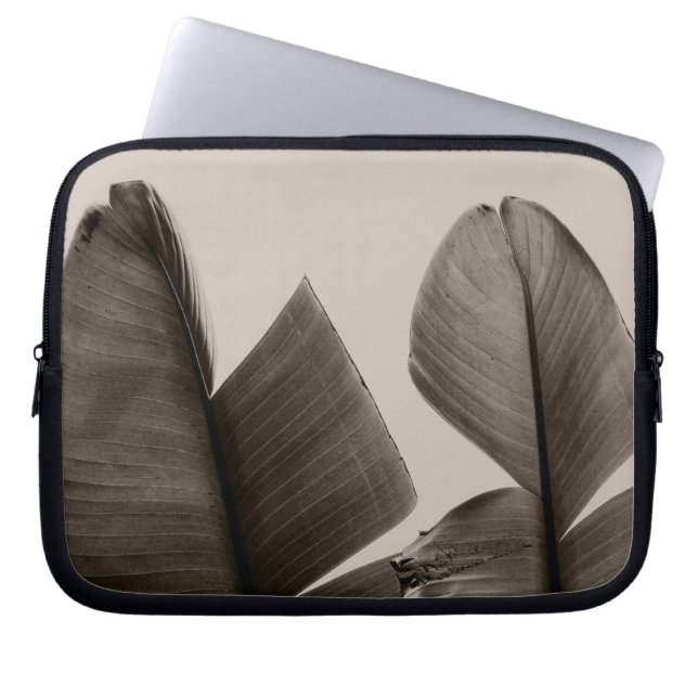 Capa Para Notebook Folhas de árvores de banana na Sepia (Frente)